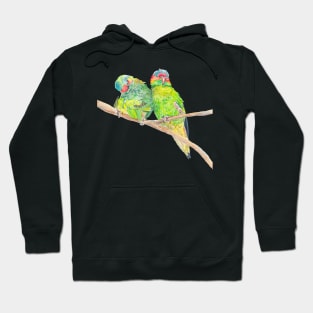 Musk lorikeet couple Hoodie